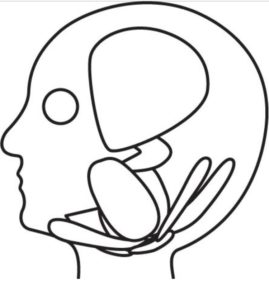 小顔矯正　浜松市　小顔矯正で噛み合わせに変化？　